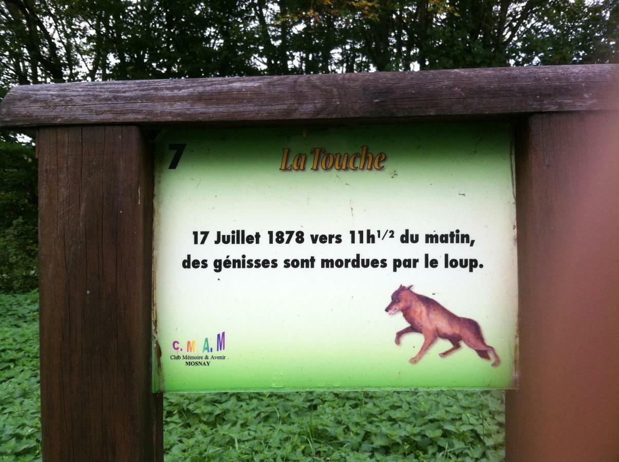 Domaine De La Touche Mosnay Bed & Breakfast Bagian luar foto